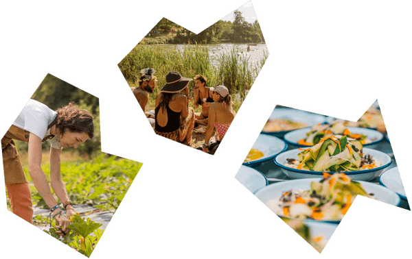 A collage of images depicting community food growing
